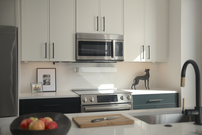 Zuri: The Kitchen Air Purifier